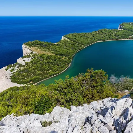 Mezano فيلة Žman