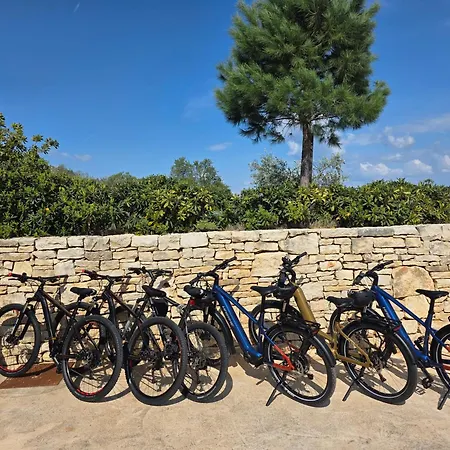 빌라 Mezano -heated Pool & E-bikes Žman